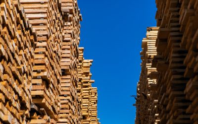 New Vs Used Pallets: Which Option Is Right for Your Business?